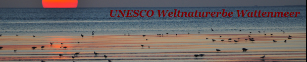 Unesco Weltnaturerbe Wattenmeer